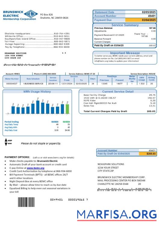 Blank USA North Carolina Brunswick Electric business utility bill template in Word and PDF formats